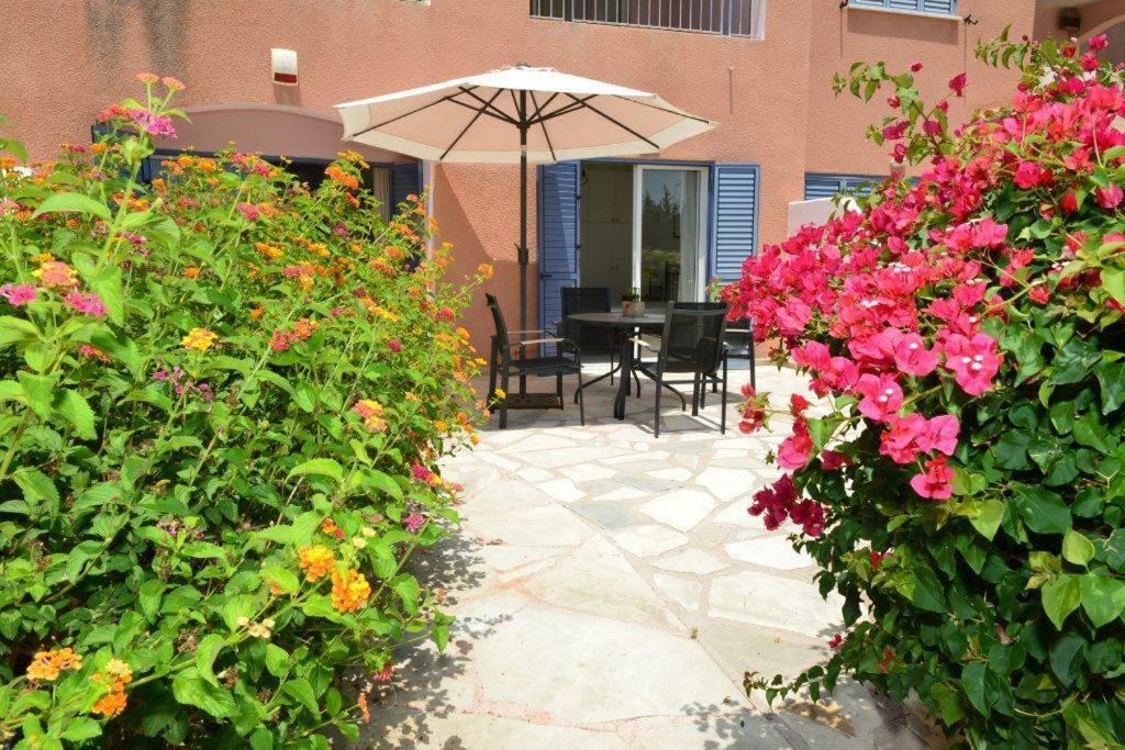 Paphos Limnaria Villas Sunny Garden Apartment מראה חיצוני תמונה